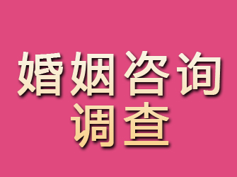 龙安婚姻咨询调查