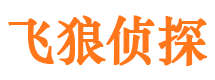 龙安婚外情调查取证